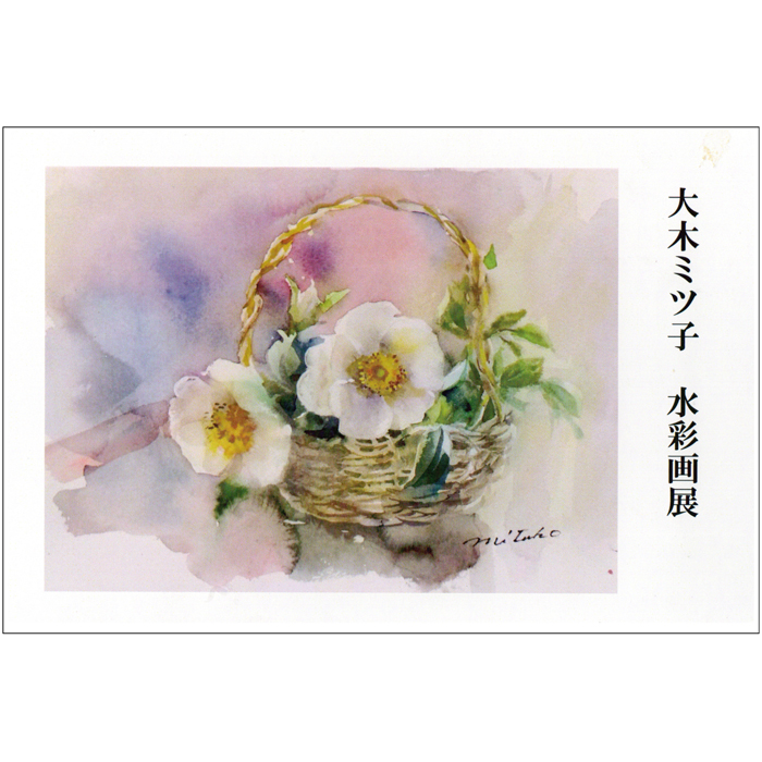 写真：
