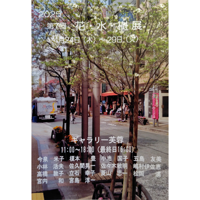 写真：